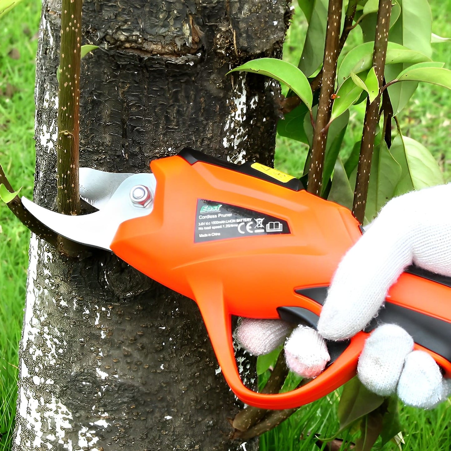 Best Shop To Buy® - Best Pruners